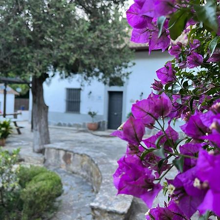 Gasthaus Complejo Rural Huerta Grande Algeciras Exterior foto