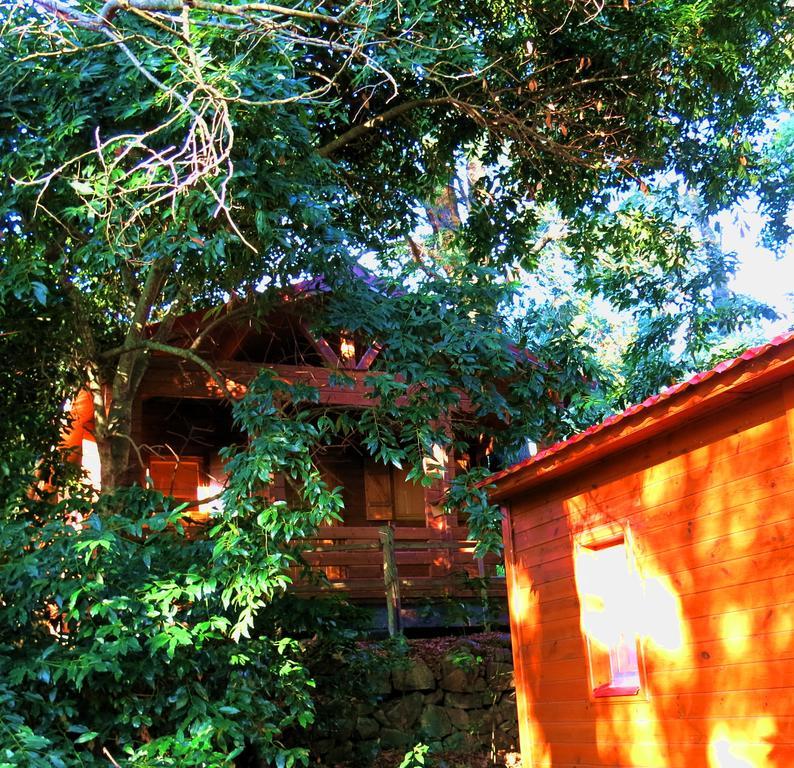 Gasthaus Complejo Rural Huerta Grande Algeciras Exterior foto
