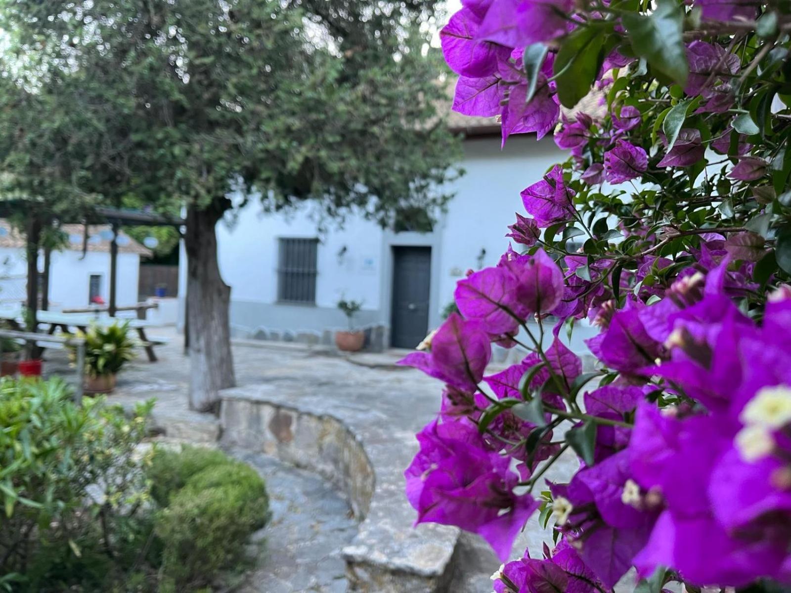 Gasthaus Complejo Rural Huerta Grande Algeciras Exterior foto